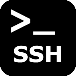 Public SSH key